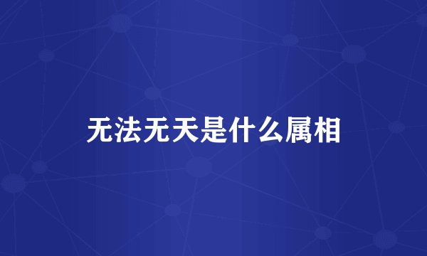 无法无天是什么属相