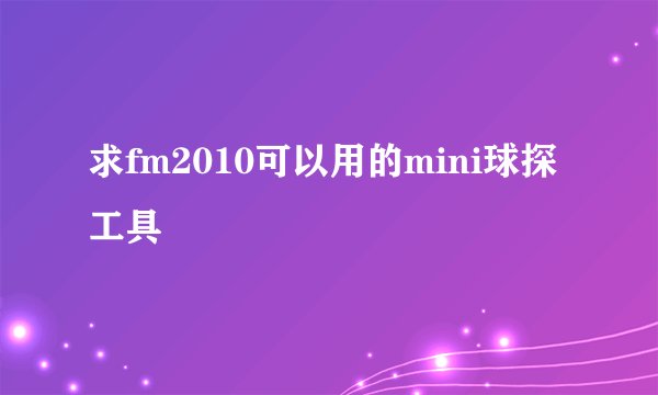 求fm2010可以用的mini球探工具