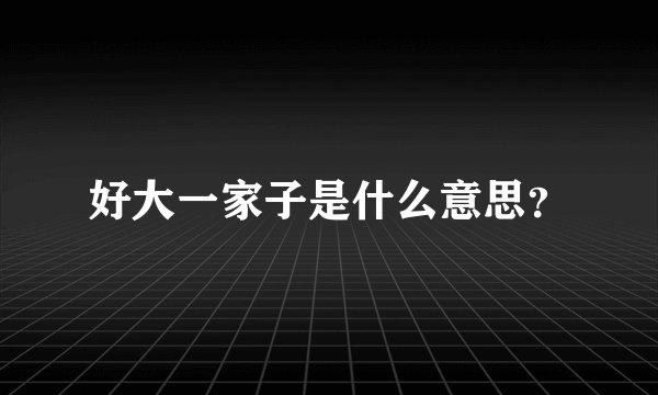好大一家子是什么意思？