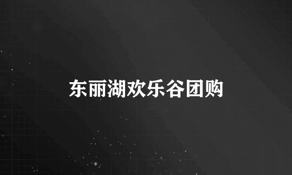 东丽湖欢乐谷团购