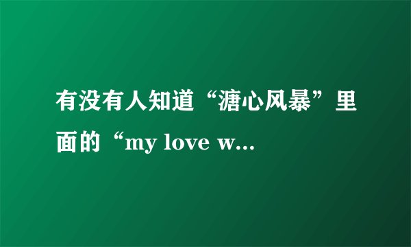 有没有人知道“溏心风暴”里面的“my love will get you home”的歌词中文解释啊？